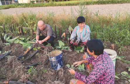 浙江臺州：持續(xù)派強用好農村工作指導員