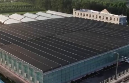 農業(yè)農村部：2022年規(guī)上農產品加工企業(yè)營收超19萬億元