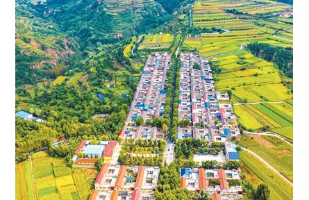 落實落細耕地保護責任 守好種好“飯碗田”