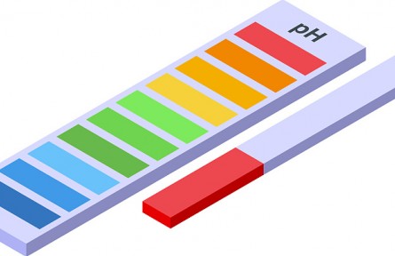 辟謠 |“食物酸堿平衡論”有科學(xué)依據(jù)嗎？