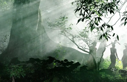 “普洱景邁山古茶林文化景觀”申遺成功！9個關(guān)鍵詞揭開這片千年萬畝古茶林的面紗