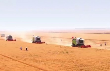 看河南如何“智”取田間，“種”出豐收！