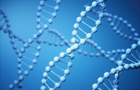 科技名詞 | 分子伴侶  Chaperone，Molecular chaperone
