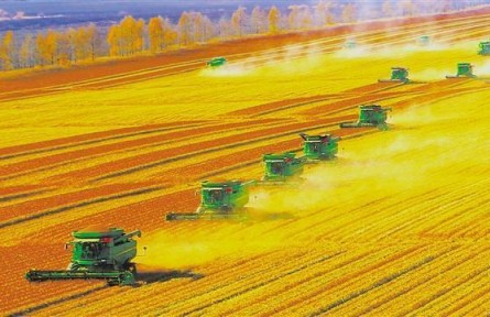 北大荒，了不起