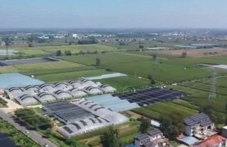 安徽：科技強農提質增效 安徽“點靚”鄉(xiāng)村好“豐”光