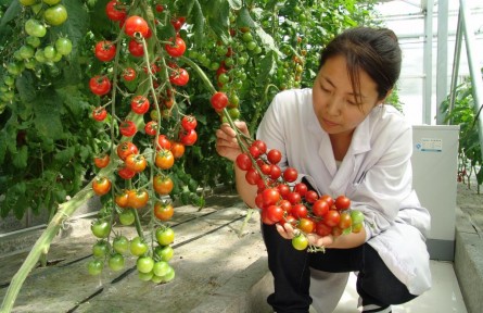 豐收季，來看這個(gè)國家農(nóng)業(yè)科技園區(qū)的“黑科技”