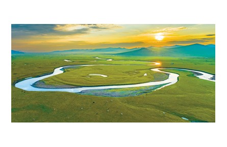 科普 | 為什么大草原上樹很少？