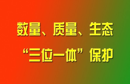 習(xí)近平論強(qiáng)化耕地?cái)?shù)量、質(zhì)量、生態(tài)“三位一體”保護(hù)