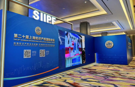 數(shù)據(jù)產(chǎn)權(quán)如何保護？國家知識產(chǎn)權(quán)局相關(guān)負(fù)責(zé)人提了幾個重點