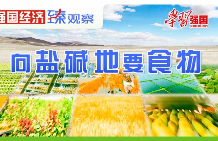 強國經濟“臻”觀察|向鹽堿地要食物