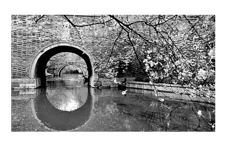 大運河文化的構(gòu)建與傳承