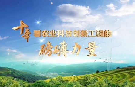 十年，看農(nóng)業(yè)科技創(chuàng)新工程的磅礴力量