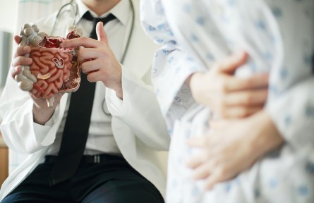 科技名詞|消化系統(tǒng) alimentary system，digestive apparatus