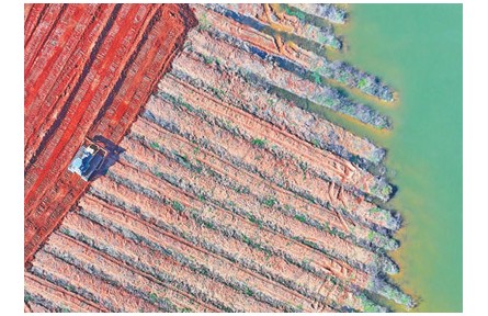 高標(biāo)準(zhǔn)農(nóng)田建成面積10億畝 進(jìn)一步夯實糧食安全根基