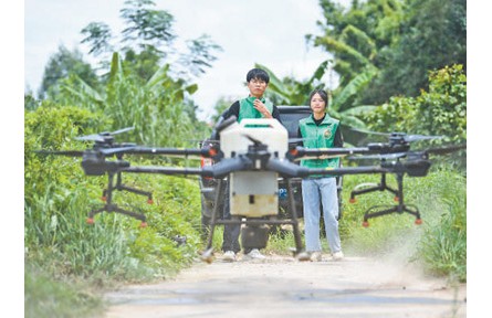 農(nóng)村實(shí)用人才超2300萬人 為鄉(xiāng)村全面振興注入新動(dòng)能