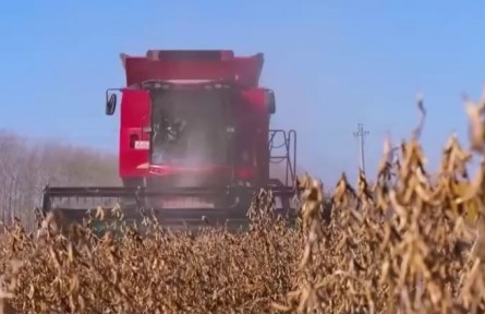 我國農業(yè)農村經濟運行穩(wěn)中向好 我國糧食大面積單產提升全面啟動