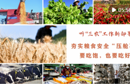 聽(tīng)“三農(nóng)”工作新部署｜夯實(shí)糧食安全“壓艙石”：要吃飽，也要吃好