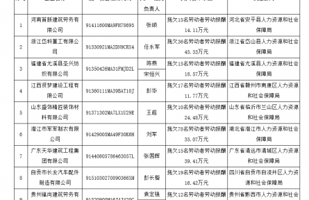 人力資源和社會(huì)保障部公布一批拖欠農(nóng)民工工資失信聯(lián)合懲戒對象名單