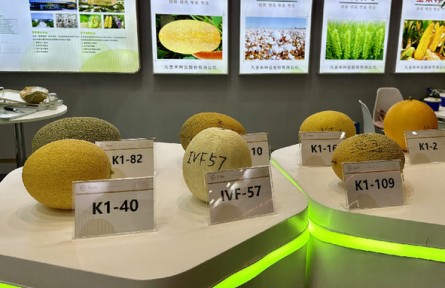 第三屆三亞國際種業(yè)科技博覽會：新品種、新技術(shù)、新設(shè)備展現(xiàn)種業(yè)科技新成果