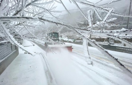 “凍到發(fā)紫”！今年首場(chǎng)寒潮“速遞”南方