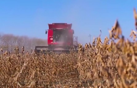 我國農(nóng)業(yè)農(nóng)村經(jīng)濟穩(wěn)中向好 穩(wěn)中有進(jìn)