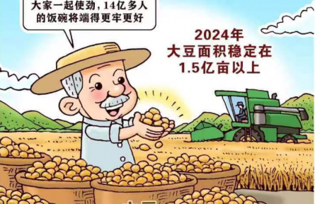 新華鮮報(bào)丨中國(guó)穩(wěn)糧新看點(diǎn)！ “金豆豆”1.5億畝以上