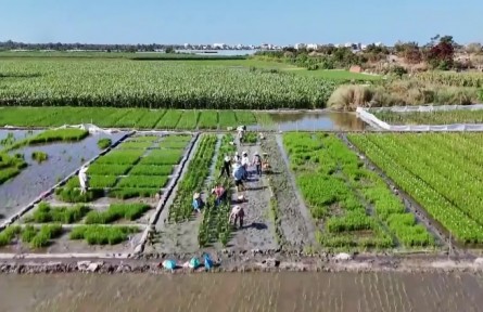 我國(guó)春耕春管由南向北陸續(xù)展開(kāi)