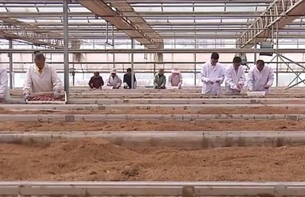 我從基層來(lái)·全國(guó)政協(xié)委員王艦：扎根高原39年 讓馬鈴薯變成“金豆豆”