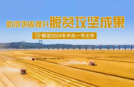 專家快問(wèn)快答：如何鞏固提升脫貧攻堅(jiān)成果？