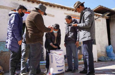 西藏：今年計(jì)劃春播面積達(dá)345萬(wàn)畝