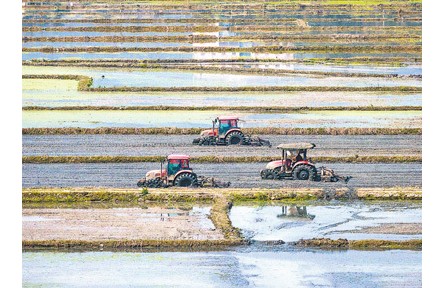 抓好春管春耕，再迎一個豐收年