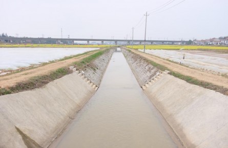 精打細(xì)算 看高標(biāo)田“節(jié)水賬”