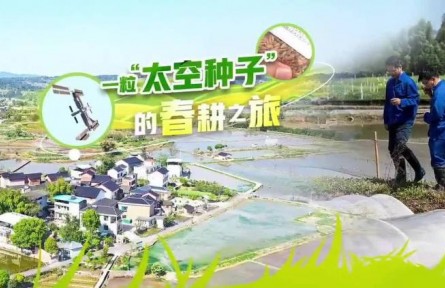 一?！疤辗N子”的春耕之旅
