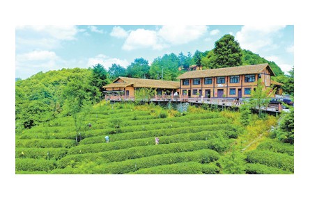 “中國的鄉(xiāng)村文化活動越來越豐富、越來越精彩”