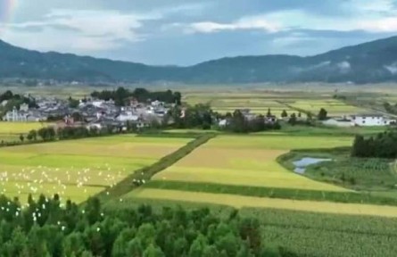 好生態(tài)如何變好產(chǎn)品？好產(chǎn)品怎么賣出好價(jià)錢？