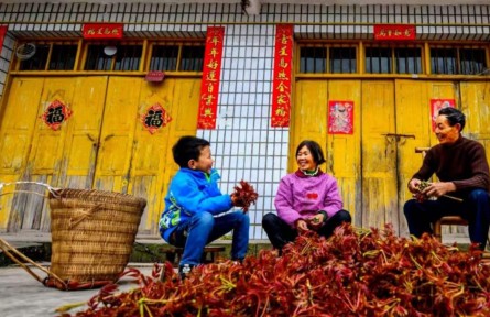 四川達(dá)州：春日游 萬(wàn)花吹滿頭