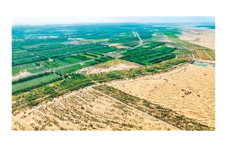 看！綠意在荒漠戈壁上鋪展