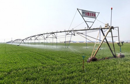 這個(gè)農(nóng)場(chǎng)，如何沖刺“噸半糧”