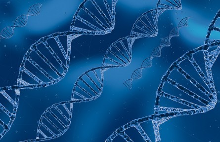 科技名詞|抗體文庫(kù) antibody library