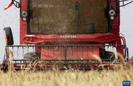 各地持續(xù)推進(jìn)夏糧機收