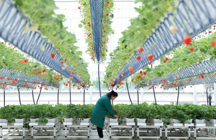 管“飽”也管“好”，大食物觀有什么講究？