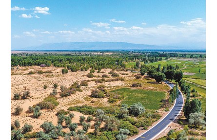 推進科學(xué)化、規(guī)?；紊场覈嗄曛卫砩郴恋爻齼|畝