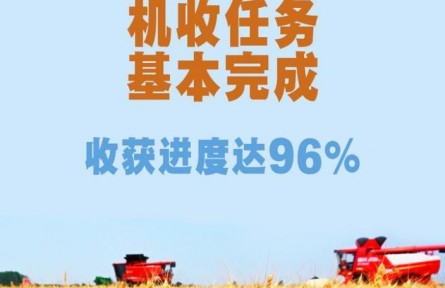 端牢飯碗！全國“三夏”小麥機(jī)收任務(wù)基本完成