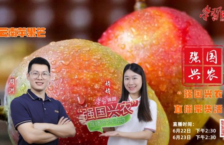 半夏時(shí)光，芒果飄香，明天下午2:30，“強(qiáng)國興農(nóng)”直播帶貨活動邀您收看