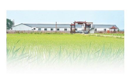 在吉林，105家科技小院正為鄉(xiāng)村振興助力——走進(jìn)黑土地深處