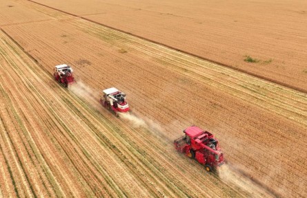 智能農(nóng)機、“鏈”式服務(wù)、節(jié)水抗旱 看看今年“三夏”生產(chǎn)的新變化