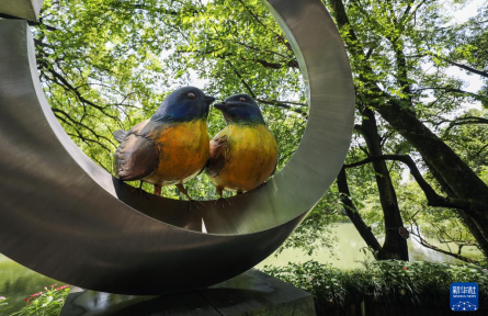 護鳥興旅，端穩(wěn)“生態(tài)碗”