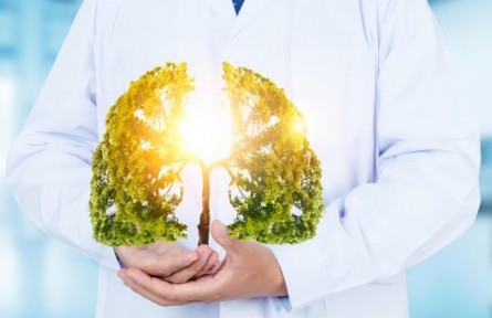 科普|生命大科學：從分子到細胞的探索之旅