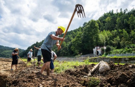 為何上漲？何時回穩(wěn)？——透視當(dāng)前蔬菜價格走勢