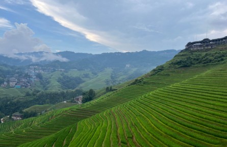 不挖金也能淘到“真金”，大寨村用“一田生五金”